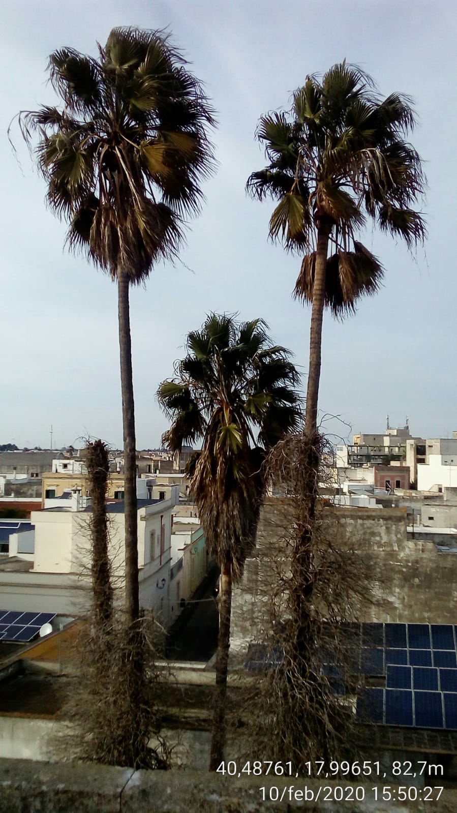 San Pietro Vernotico (BR) - Scorci suggestivi e architettura tipica